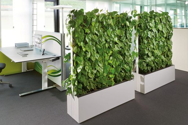 Biophilic Design