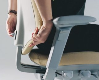 RH Mereo - mechanizm